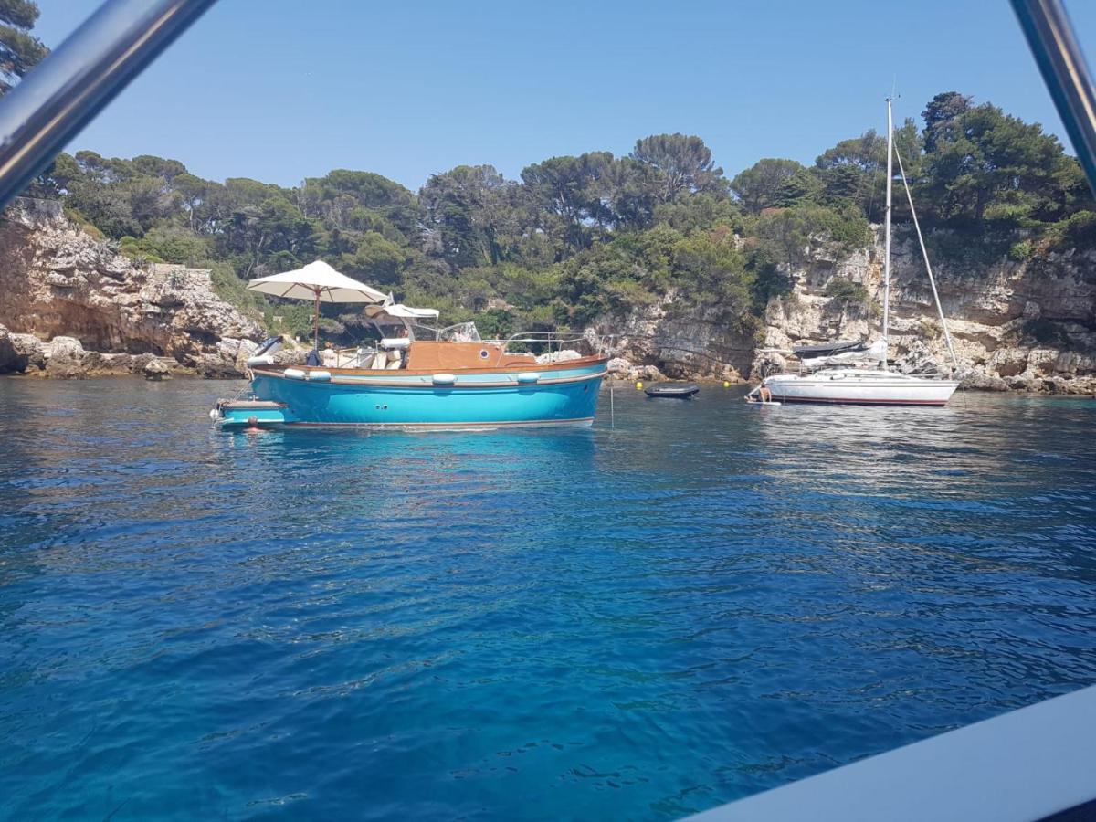 Апартаменти Een Parel Aan De Cote 'D Azur ! Валлоріс Екстер'єр фото